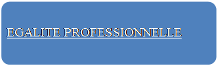 Rectangle  coins arrondis: EGALITE PROFESSIONNELLE